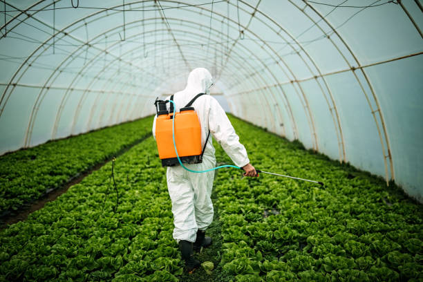 Best Pest Inspection Near Me  in Locust Grove, GA