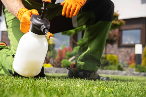 Best Emergency Pest Control  in Locust Grove, GA