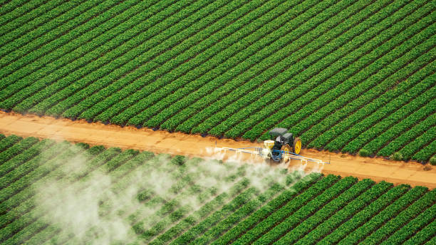 Best Exterminator Services  in Locust Grove, GA